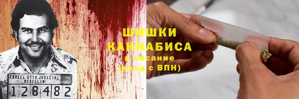 стаф Каменногорск