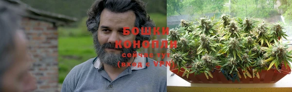 стаф Каменногорск