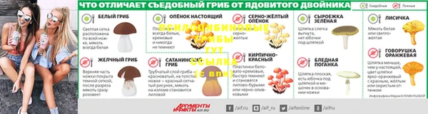стаф Каменногорск