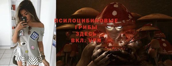 mdpv Каменск-Шахтинский
