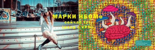 стаф Каменногорск
