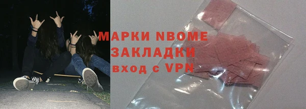 стаф Каменногорск