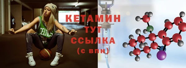 стаф Каменногорск