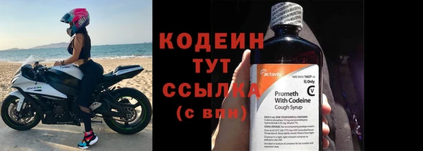 стаф Каменногорск