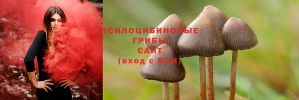 mdpv Каменск-Шахтинский