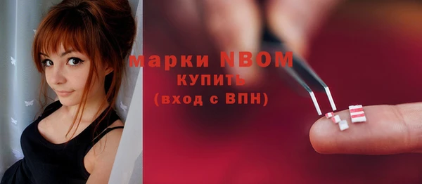 стаф Каменногорск