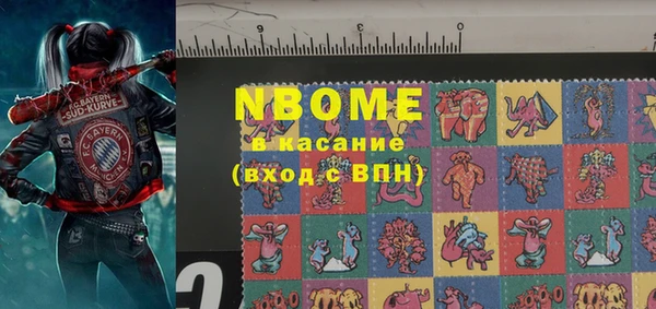 стаф Каменногорск