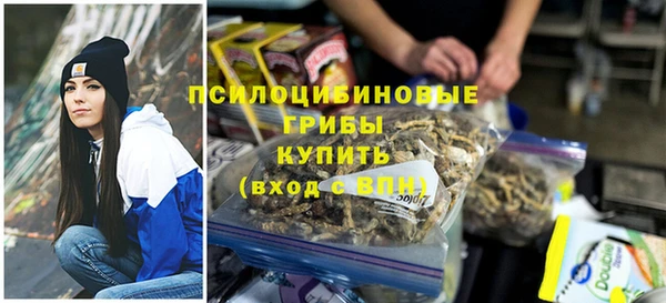 mdpv Каменск-Шахтинский