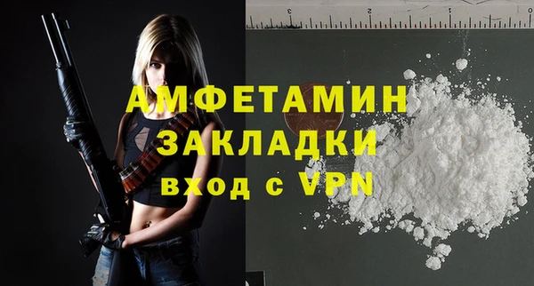 стаф Каменногорск