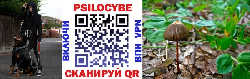 Псилоцибиновые грибы Magic Shrooms  Купить  Верхняя Пышма 